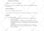 audit, setup and optimize your google ads campaigns