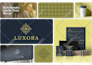 design brand logo, branding kit and brand identity