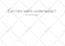 top quality veterinary blog posts, dog training, and pet articles
