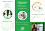 design professional bifold, trifold and multipage brochure