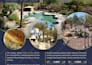 design professional print or web ads for your business