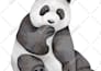 create printable  wall decals,decor, sticker for kids
