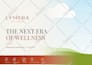 create professional canva graphic designs