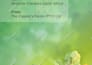 create infographics, flowchart, org chart, process flows, lucid chart, mind maps