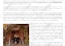 write a press release for your music