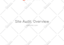 provide website SEO audit report and competitor analysis