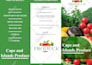 create custom bifold, trifold brochures, flyers, and pamphlets in 24 hours