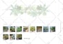 make a nice 2d landscape plan