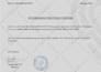 design a professional letterhead with an editable word template within 2 hours
