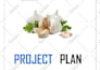 prepare investor ready business plan for startups, and sba business plan