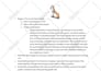 write SEO friendly product descriptions for amazon and shopify