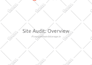 do an advanced SEO audit report