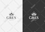design a custom logo for you