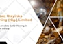 design professional powerpoint presentation and pitch deck