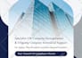 design professional brochure and flyer within 24 hours