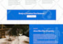 design business wordpress website woocommerce website design