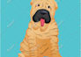 draw cute pet cartoon in  24 hours