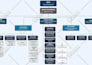 design org chart, flow chart, infographics and diagrams