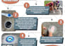 create a flyer or other printed media design