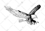 vector tracing, convert image to vector file, vector logo, vectorize image