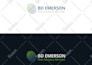 do professional custom logo designs that are unique and memorable
