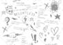 design creative wall art, doodle, decals, murals, canvas