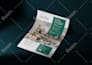 design a professional business flyer in canva