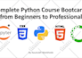 teach you python programming from beginners to professional