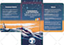 design customized trading cards for you and your team