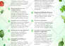 design high converting lead magnet pdfs ebooks and workbooks