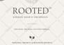 design canva workbook, ebook, and templates