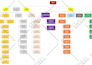 design flow chart, org chart, process in visio,lucidchart
