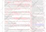 proofread and edit your english or german text