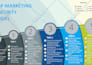 design a professional premium infographic