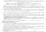 write, edit your CV, resume, cover letter and linkedin profile