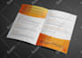 design professional brochure, product catalog, and company booklet
