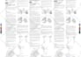 design amazing flyer and brochure