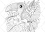 layout or format children books for paperback and kindle