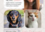 design professional and modern google ads