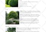 do backyard landscape design, patio, front yard design