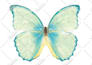 do any photoshop editing, retouching and manipulation