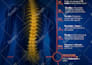 design infographics, pitch decks, and powerpoint presentations with animation