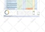 do detail painting, wallcovering material takeoff, cost estimation