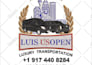 do embroidery logo digitizing design into dst file in 1 hour
