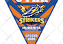design home plate or triangle pennants