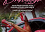 ghostwrite, edit, format nonfiction ebook, adobe book format, book layout design