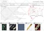 design a clothing collection, create a tech pack and be your fashion designer