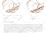 make architectural diagrams, and site analysis