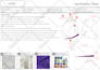 design a clothing collection, create a tech pack and be your fashion designer