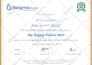 make you six sigma yellow belt certified